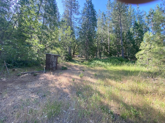 15218 Arrow Point Dr, Oak Run, CA 96069 - photo 40
