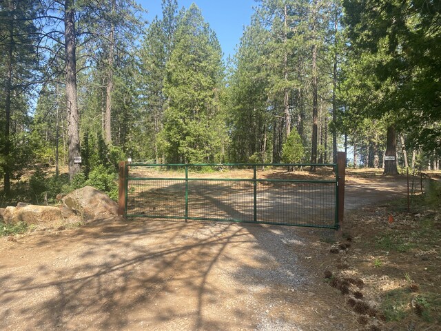 15218 Arrow Point Dr, Oak Run, CA 96069 - photo 44