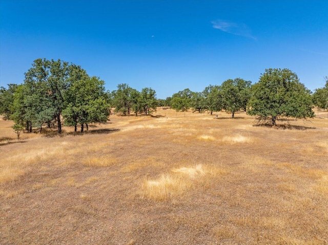 19307 Davidson Ln, Anderson, CA 96007 - photo 62