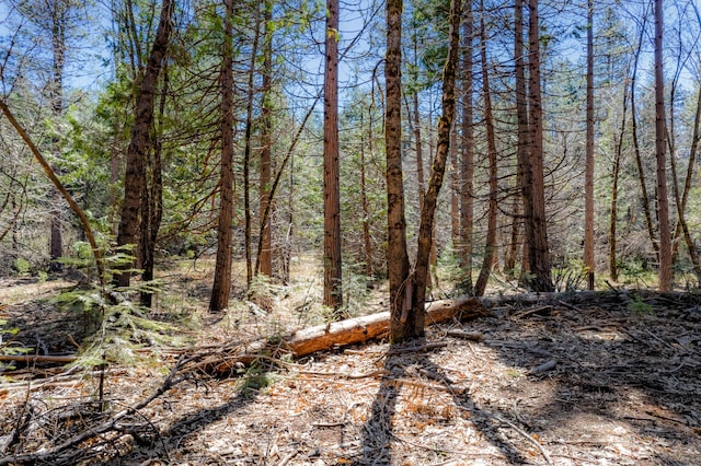 23 Whispering Creek Ct, Shingletown, CA 96088
