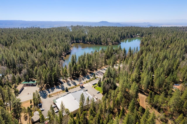 23 Whispering Creek Ct, Shingletown, CA 96088
