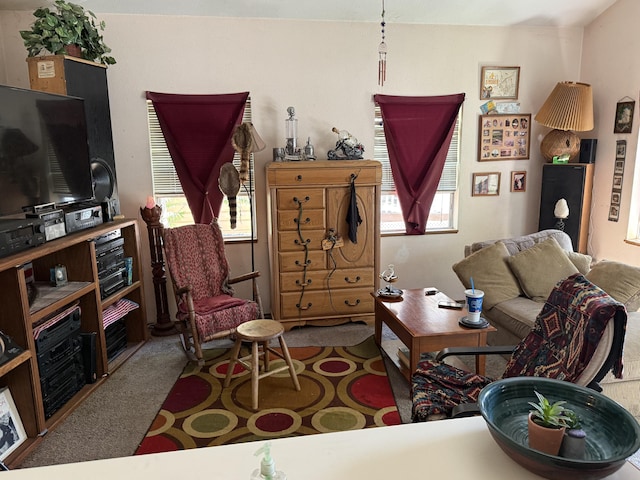 728 Lincoln St, Red Bluff, CA 96080 - view of carpeted living room
