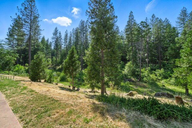 15399 Star Flower Rd, Oak Run, CA 96069 - photo 26