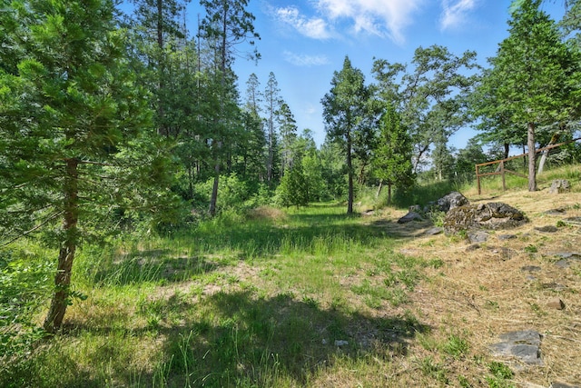 15399 Star Flower Rd, Oak Run, CA 96069 - photo 28