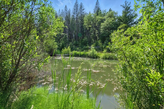 15399 Star Flower Rd, Oak Run, CA 96069 - photo 29