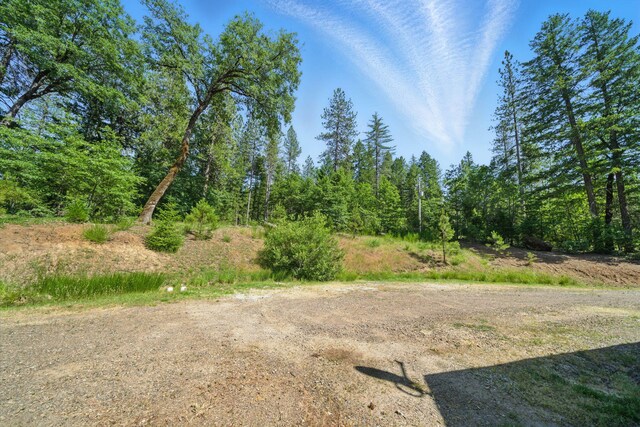 15399 Star Flower Rd, Oak Run, CA 96069 - photo 32