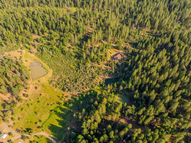 15399 Star Flower Rd, Oak Run, CA 96069 - photo 36