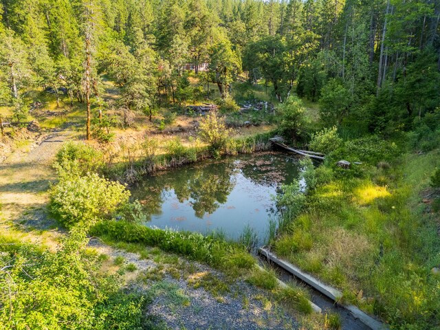 15399 Star Flower Rd, Oak Run, CA 96069 - photo 35