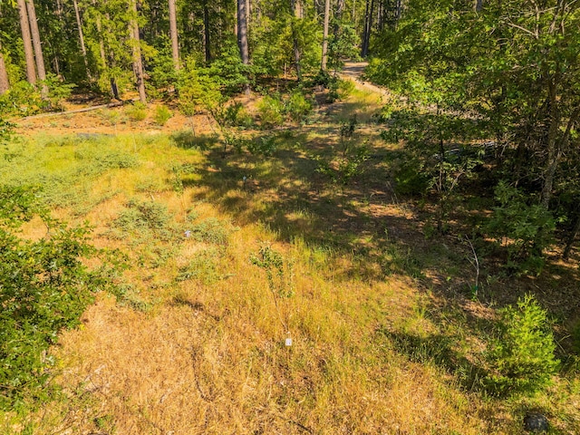 15399 Star Flower Rd, Oak Run, CA 96069 - photo 38