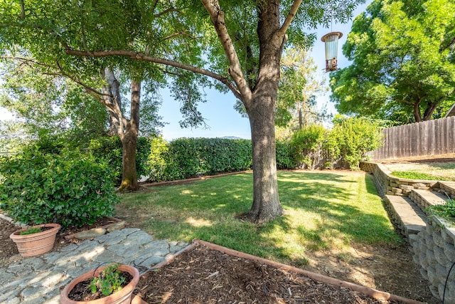830 Redwood Blvd, Redding, CA 96003 - view of yard