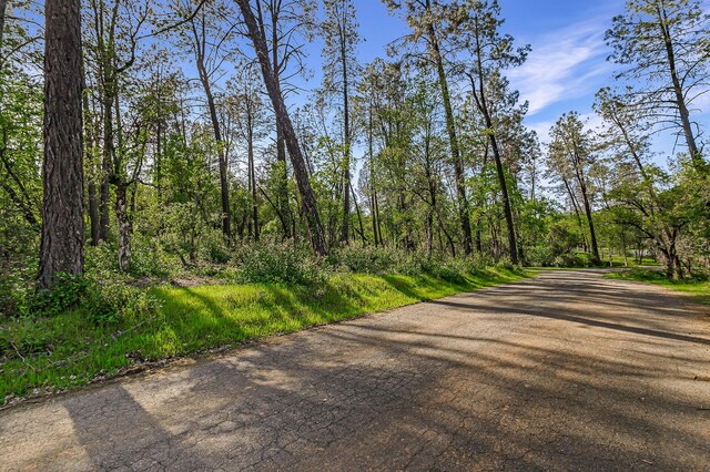 9200 Silver King Rd, Redding, CA 96001 - photo 1