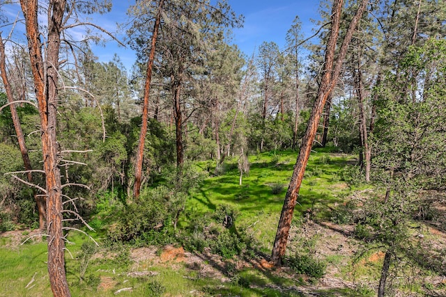 9200 Silver King Rd, Redding, CA 96001 - photo 4