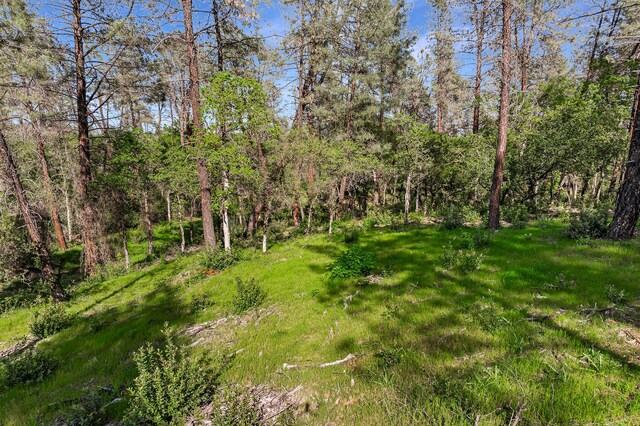 9200 Silver King Rd, Redding, CA 96001 - photo 5