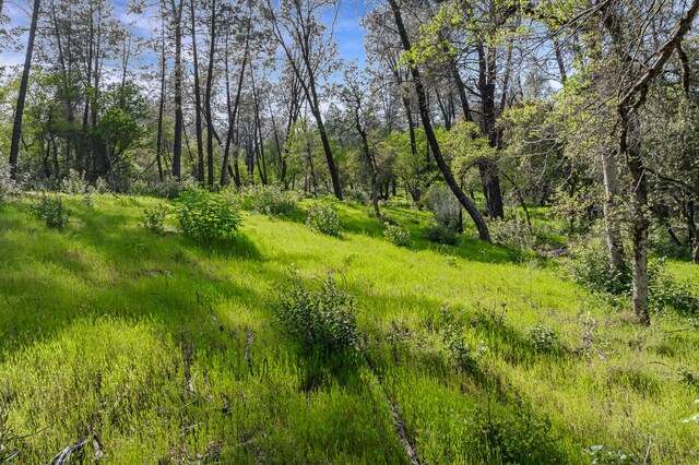 9200 Silver King Rd, Redding, CA 96001 - photo 6
