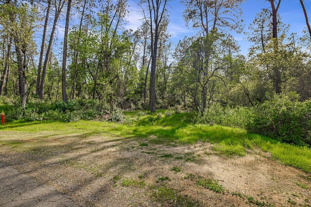 9200 Silver King Rd, Redding, CA 96001 - photo 8