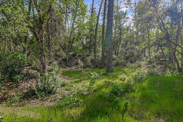 9200 Silver King Rd, Redding, CA 96001 - photo 9