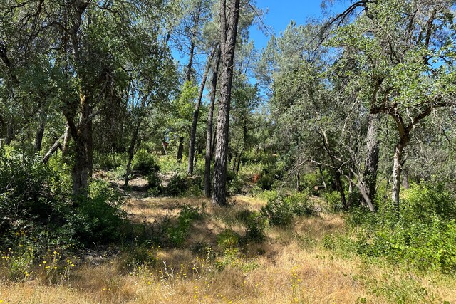 9200 Silver King Rd, Redding, CA 96001 - photo 10