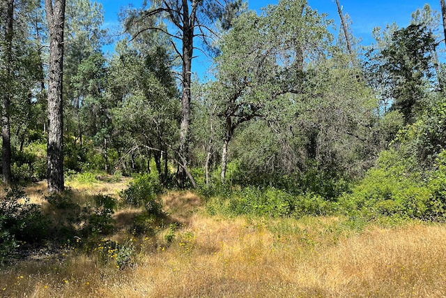 9200 Silver King Rd, Redding, CA 96001 - photo 11