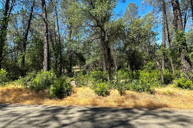 9200 Silver King Rd, Redding, CA 96001 - photo 3