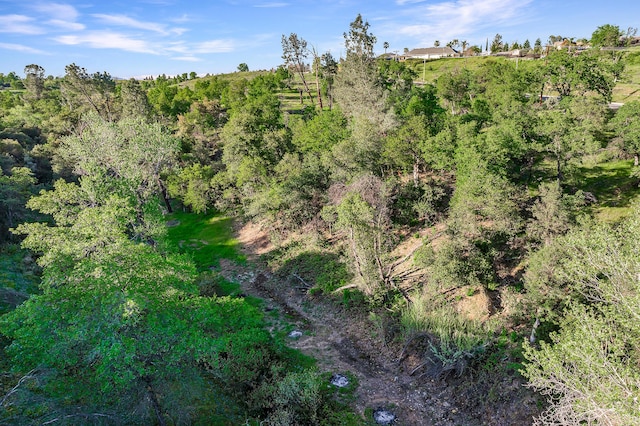 166 Quartz Hill Rd, Redding, CA 96003 - photo 23