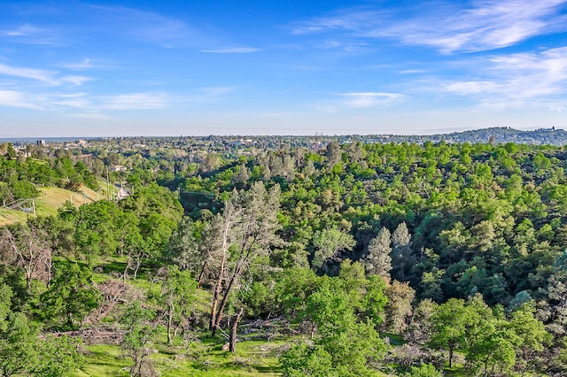 166 Quartz Hill Rd, Redding, CA 96003 - photo 8