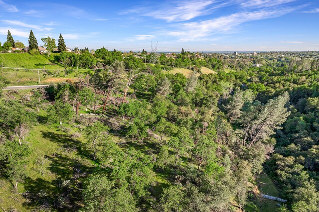 166 Quartz Hill Rd, Redding, CA 96003 - photo 11