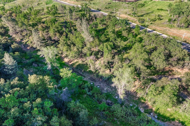 166 Quartz Hill Rd, Redding, CA 96003 - photo 12