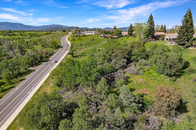 166 Quartz Hill Rd, Redding, CA 96003 - photo 22