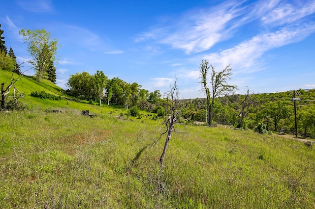 166 Quartz Hill Rd, Redding, CA 96003 - photo 31