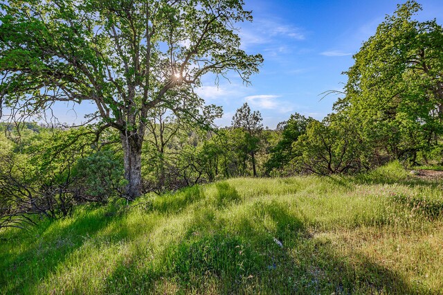 166 Quartz Hill Rd, Redding, CA 96003 - photo 6