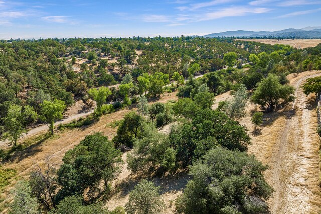 2037 Haight St, Redding, CA 96001 - photo 4