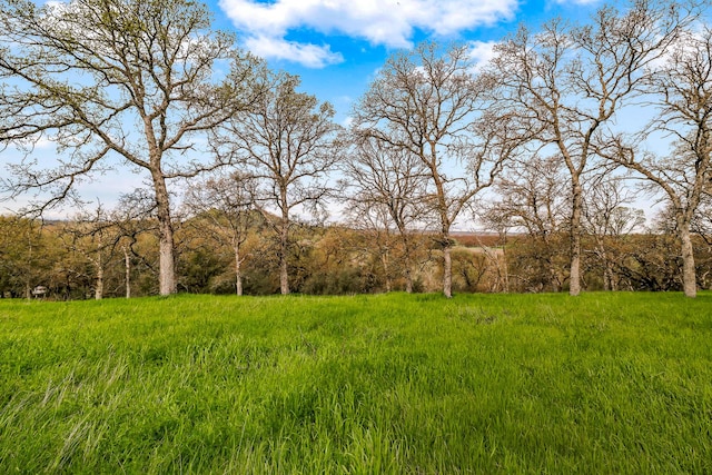 16475 River Heights Dr, Red Bluff, CA 96080 - photo 4