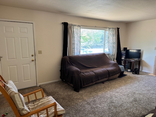 2580 Old Alturas Rd, Redding, CA 96003 - living area featuring carpet and a textured ceiling