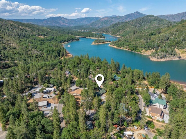 19742 Shasta Dr, Lakehead, CA 96051 - photo 5