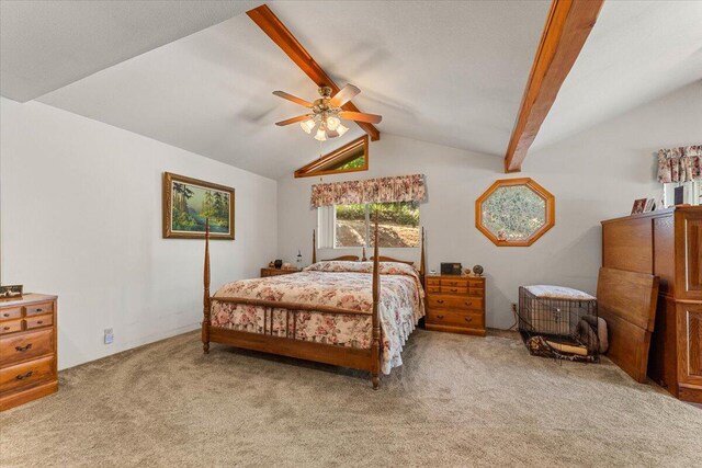 19742 Shasta Dr, Lakehead, CA 96051 - photo 19