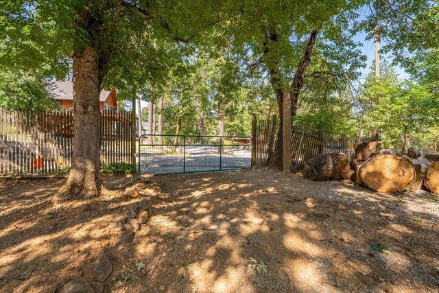 19742 Shasta Dr, Lakehead, CA 96051 - photo 50