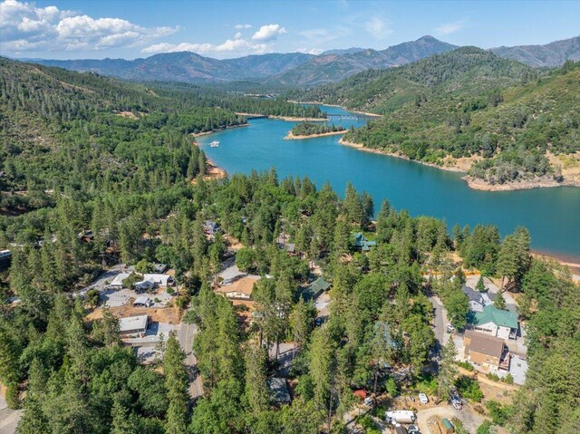 19742 Shasta Dr, Lakehead, CA 96051 - photo 59