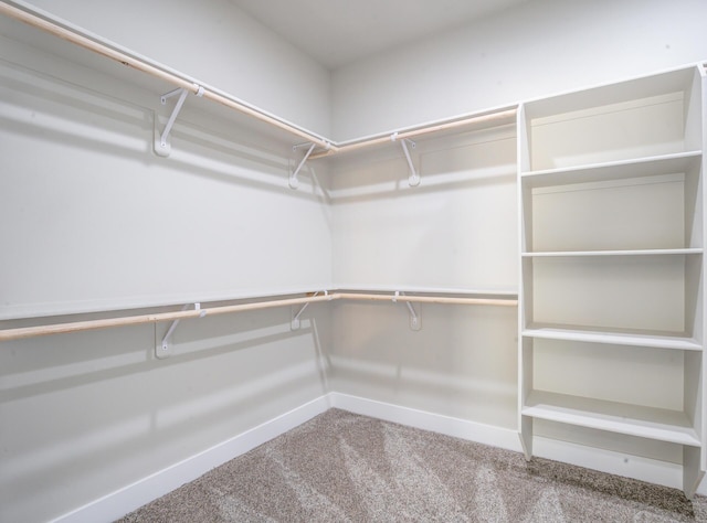 19450 Vista Del Monte Ct, Redding, CA 96003 - spacious closet with carpet floors