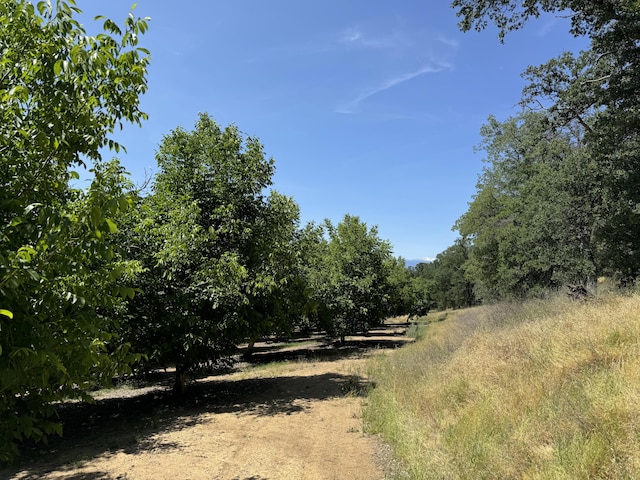 18525 Farquhar Rd, Cottonwood, CA 96022 - photo 29