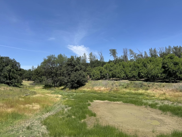 18525 Farquhar Rd, Cottonwood, CA 96022 - photo 31