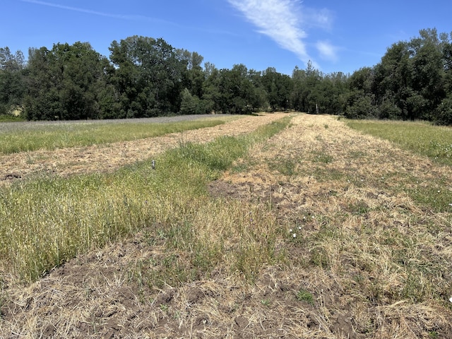 18525 Farquhar Rd, Cottonwood, CA 96022 - photo 33