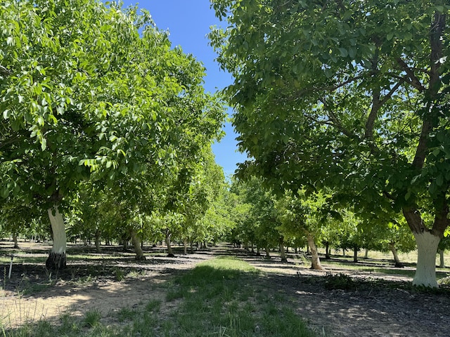 18525 Farquhar Rd, Cottonwood, CA 96022 - photo 34