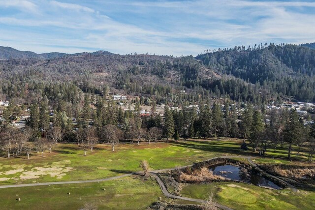 220 Fairway Dr, Weaverville, CA 96093 - photo 34