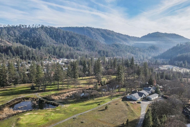 220 Fairway Dr, Weaverville, CA 96093 - photo 35
