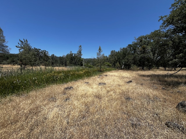 Wilson Hill Rd, Manton, CA 96059