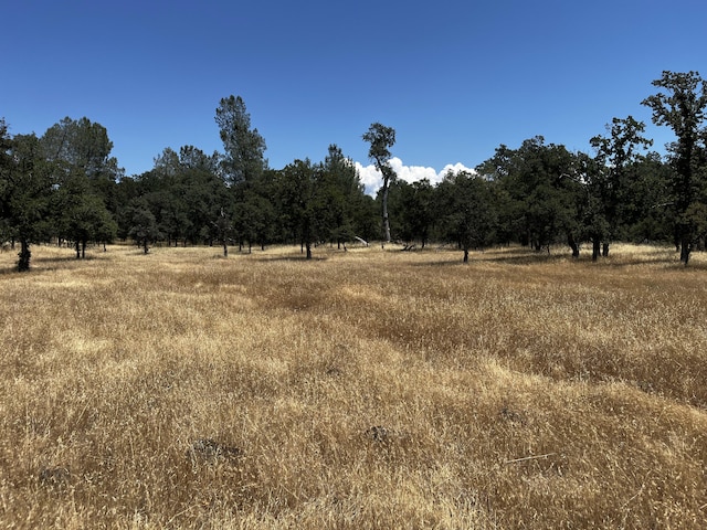 Wilson Hill Rd, Manton, CA 96059