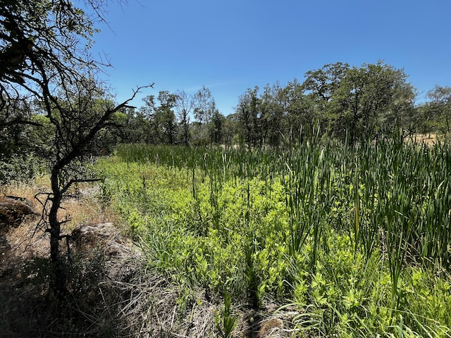 Wilson Hill Rd, Manton, CA 96059