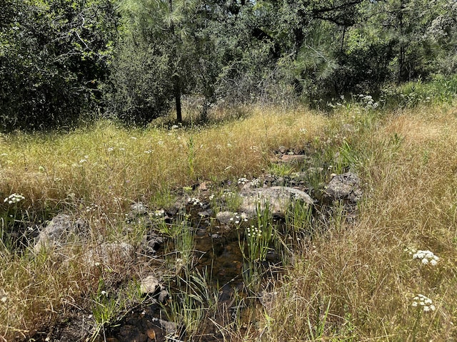 Wilson Hill Rd, Manton, CA 96059
