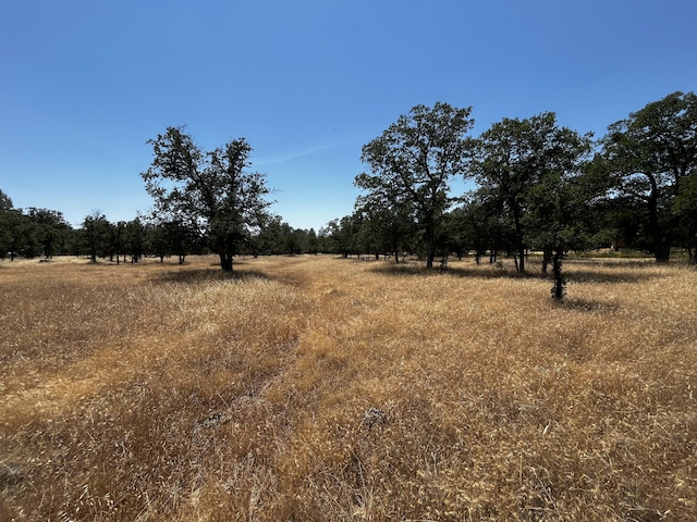 Wilson Hill Rd, Manton, CA 96059