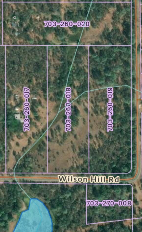 Wilson Hill Rd, Manton, CA 96059